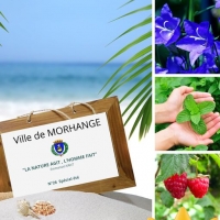 La nature agit, l'homme fait : Spécial été !